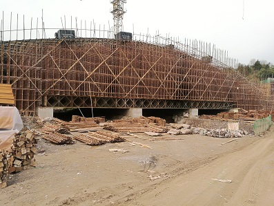 ���ﱴ�׼�����