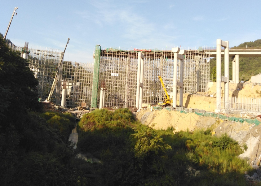 ���������ž����ϸ���